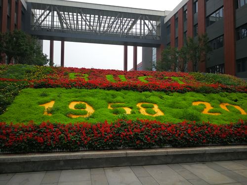张璟琛科技夏令营精彩瞬间